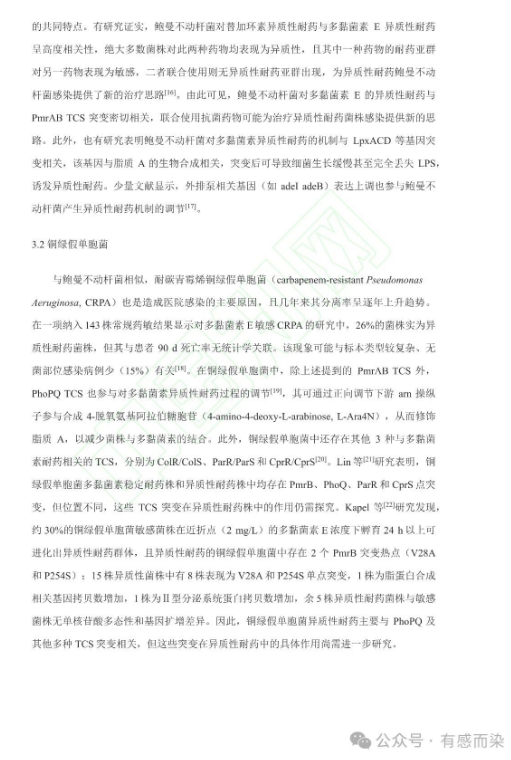 677388b7c8cdc.png