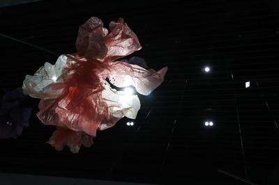 廈門仧美術(shù)館2021年度波普大展&ldquo;Art for All-安迪&middot;沃霍爾&rdquo;開幕