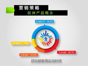 娃哈哈 激活 2013 2016年度市場營銷策劃方案